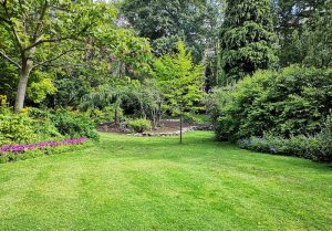 Optimiser l'expérience du jardin à Dompierre-les-Ormes